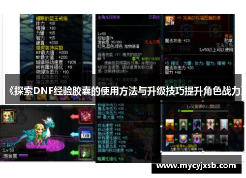 《探索DNF经验胶囊的使用方法与升级技巧提升角色战力》